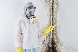 Best Forensic Mold Investigation  in Coachella, CA